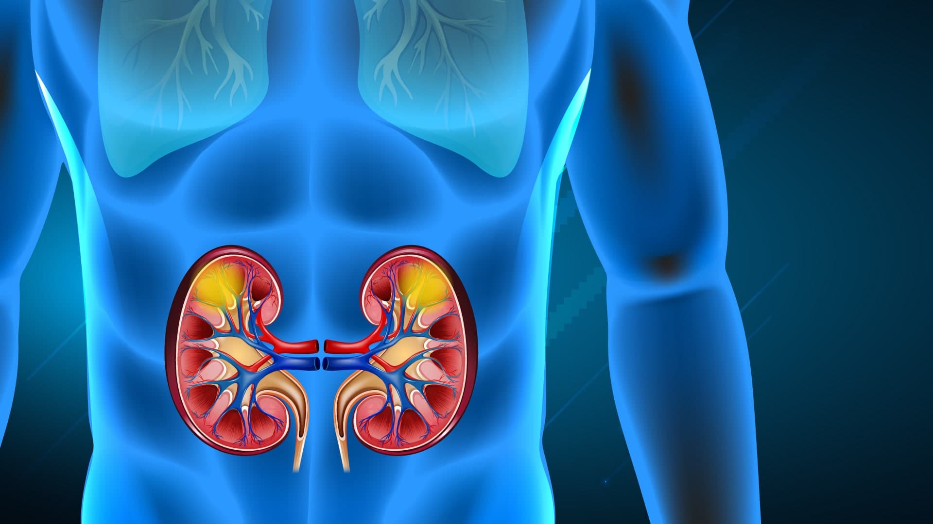 Nefritis lúpica: una amenaza silenciosa para los riñones y la vida