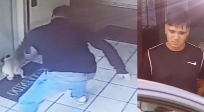 Sujeto golpea a su perrito pug en un edificio de Lima