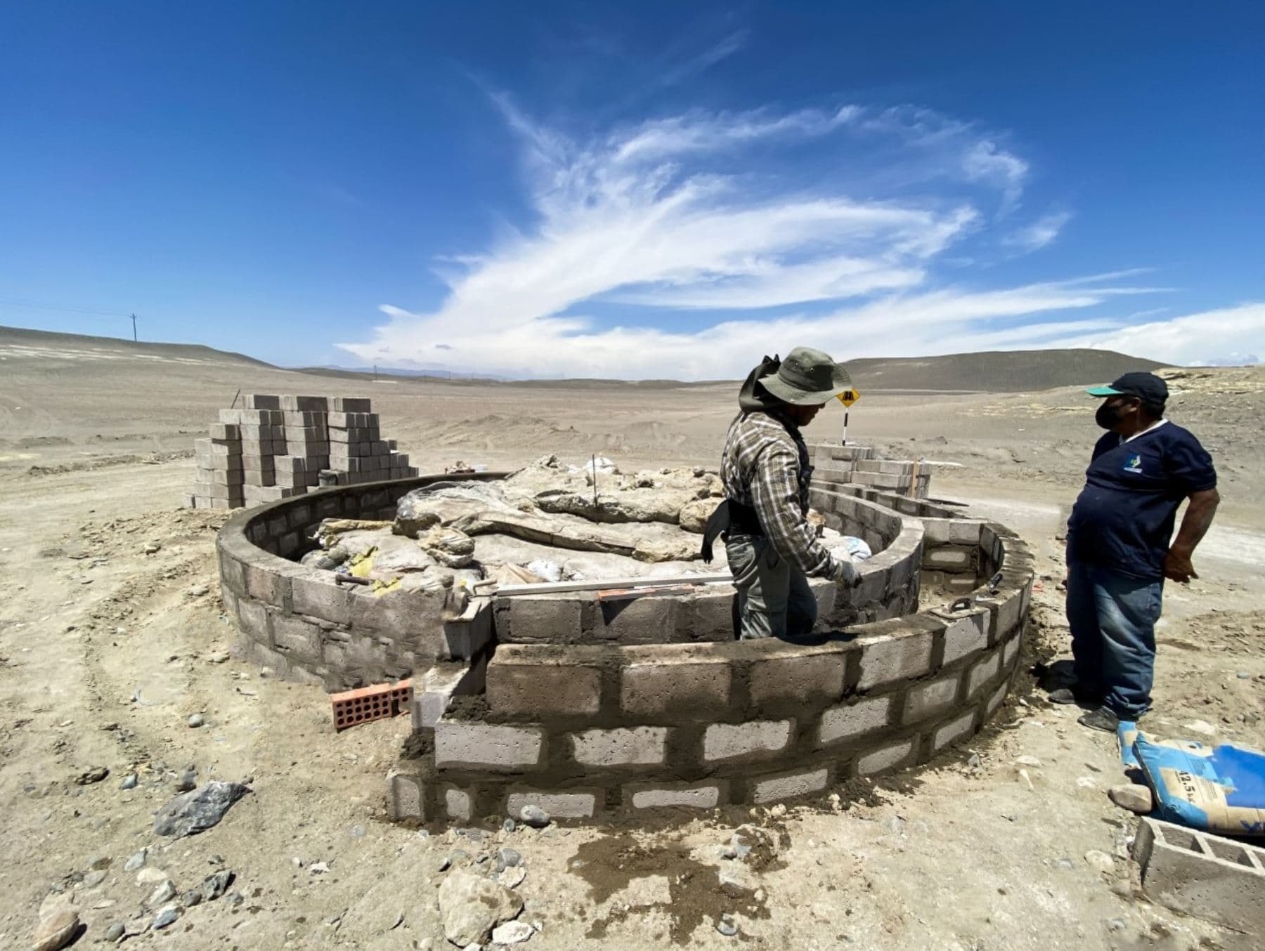 Arequipa: buscan impulsar turismo paleontológico