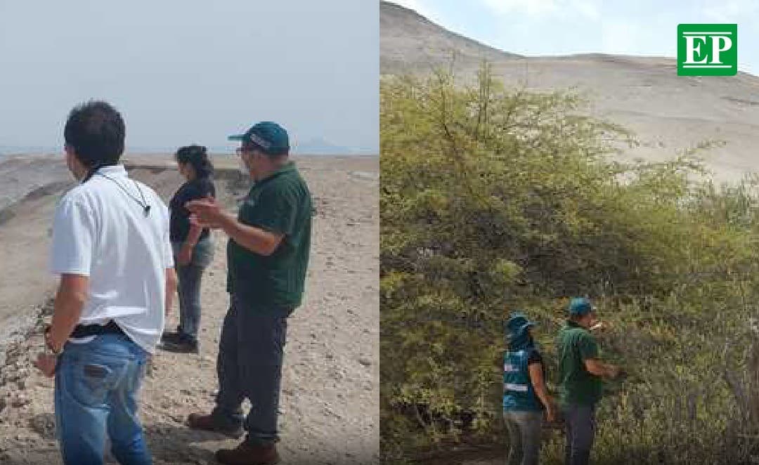 Represa corta el agua al bosque seco más grande de Arequipa