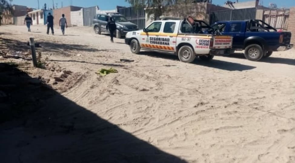 Arequipa: jauría ataca y termina con la vida de un joven