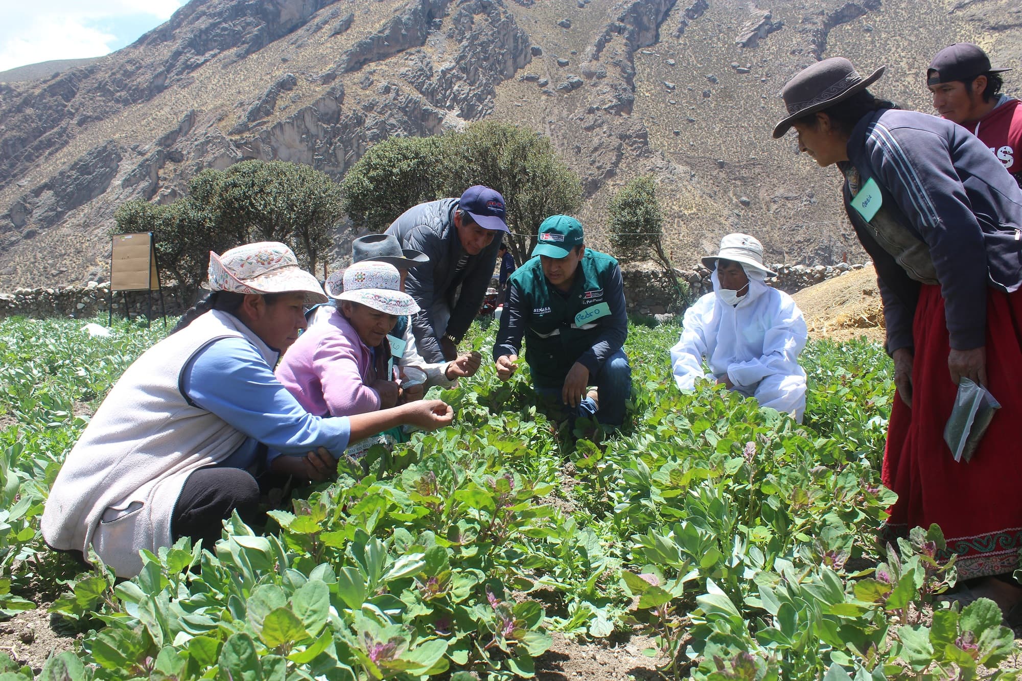 Fortalecen acciones a favor de la agricultura familiar en Arequipa