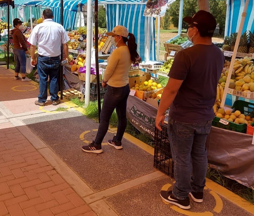 Mercados De la chacra a la olla en Islay, Caylloma y Castilla