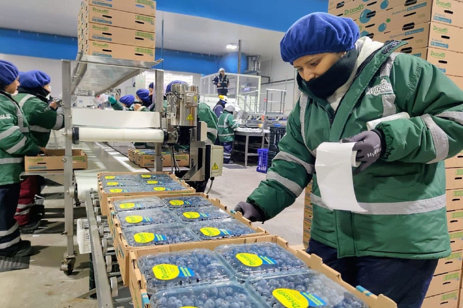 Exportaciones agrarias crecieron 12% en primer bimestre de 2024