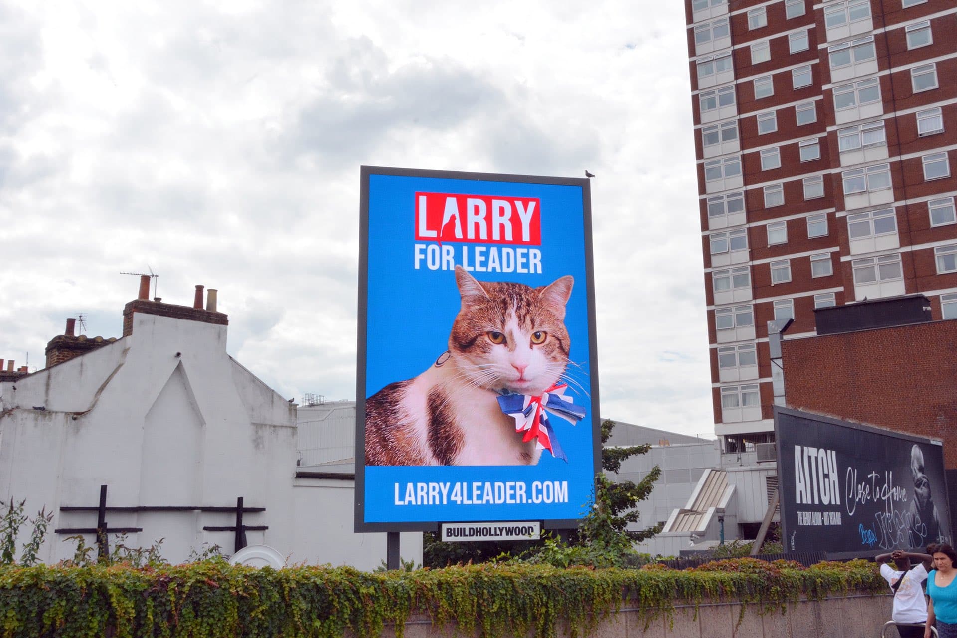 Parodian campaña política con un gato