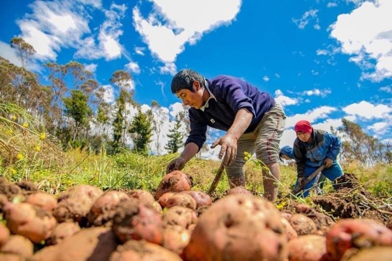 Entregarán 7 mil títulos a los agricultores hasta diciembre