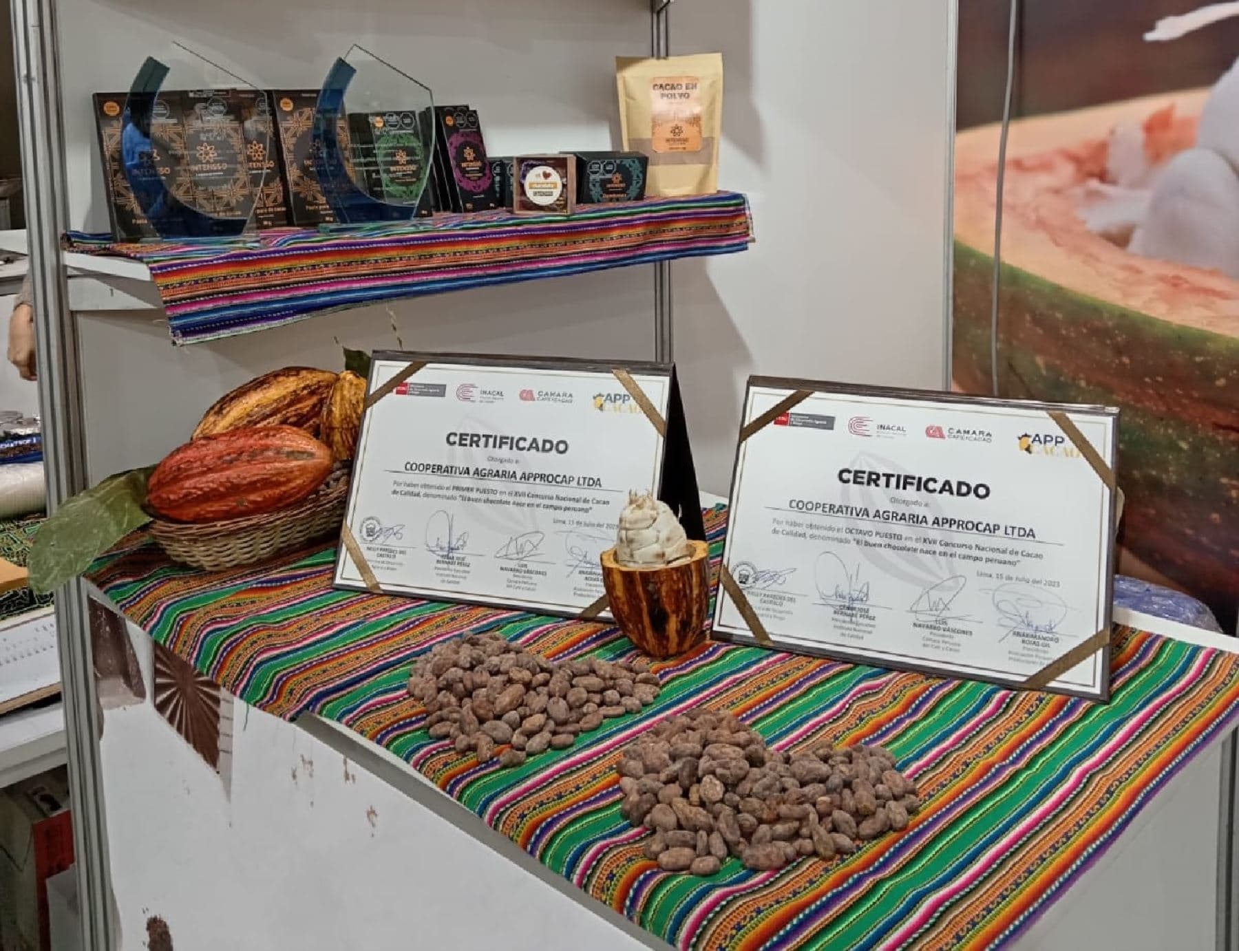 Cacao de Morropón obtiene Sello de Oro al mejor  cacao peruano