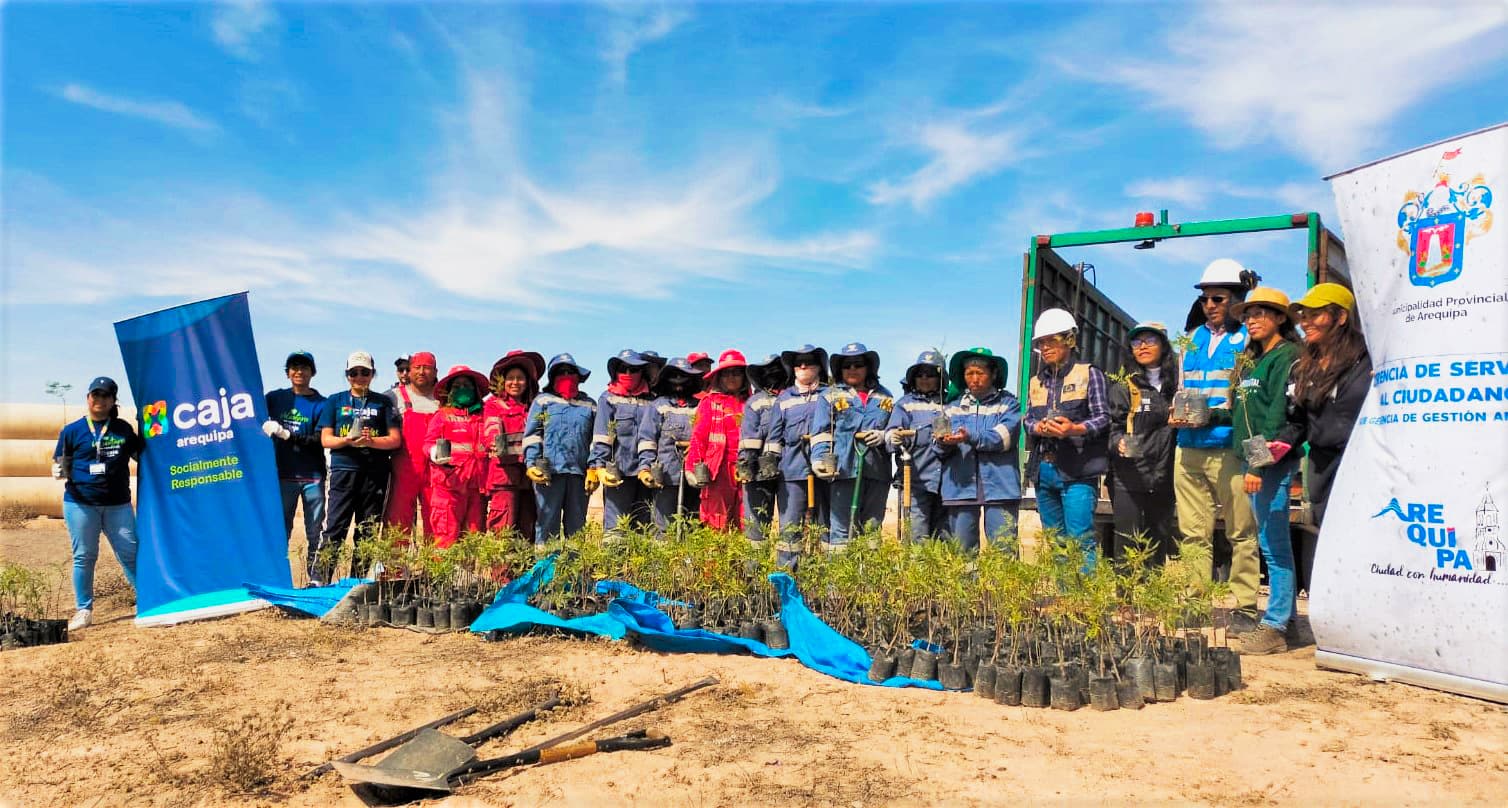 Caja Arequipa participó en la plantación de 1000 árboles en la ciudad