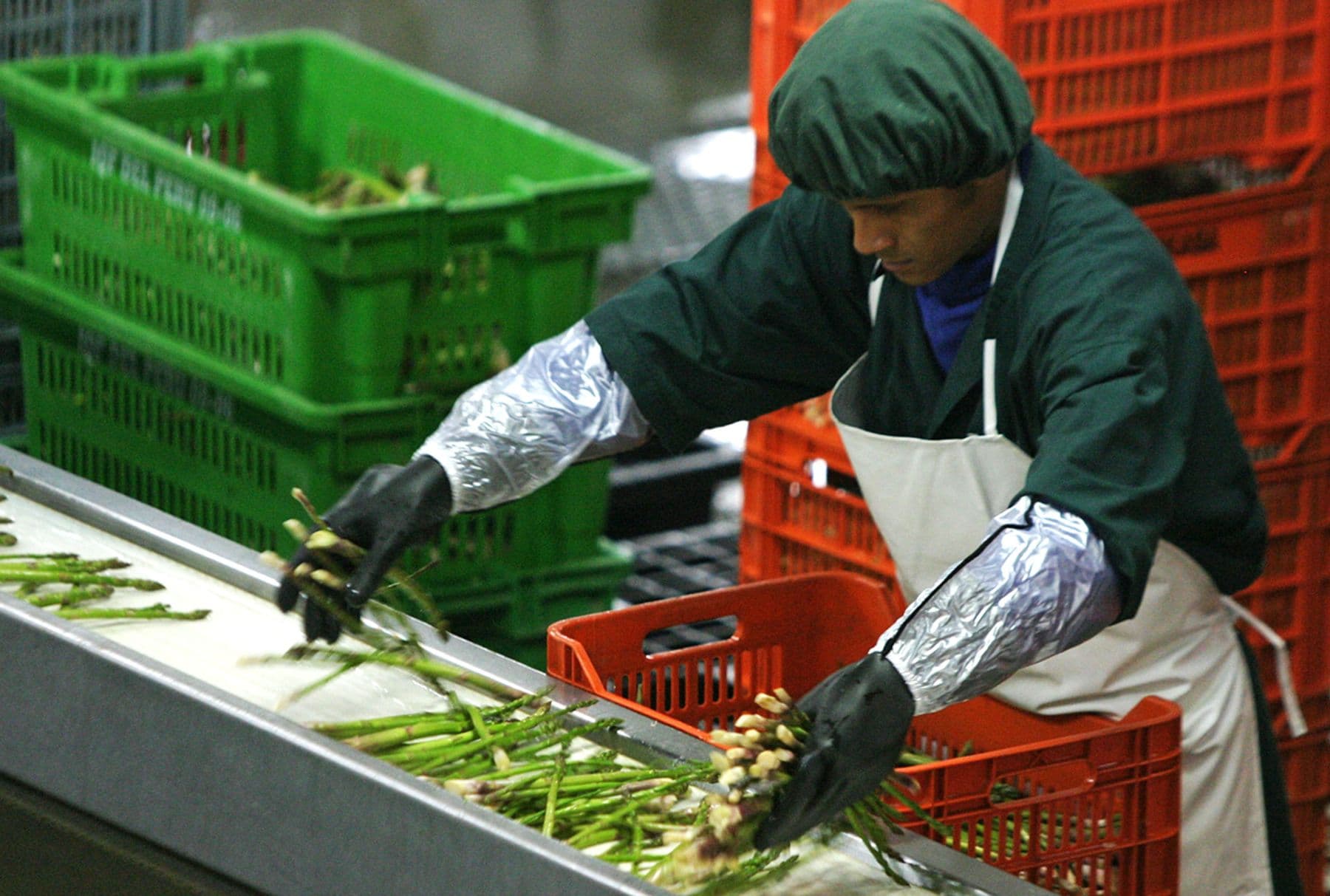 Agro impulsa el empleo formal y empresas recuperan confianza