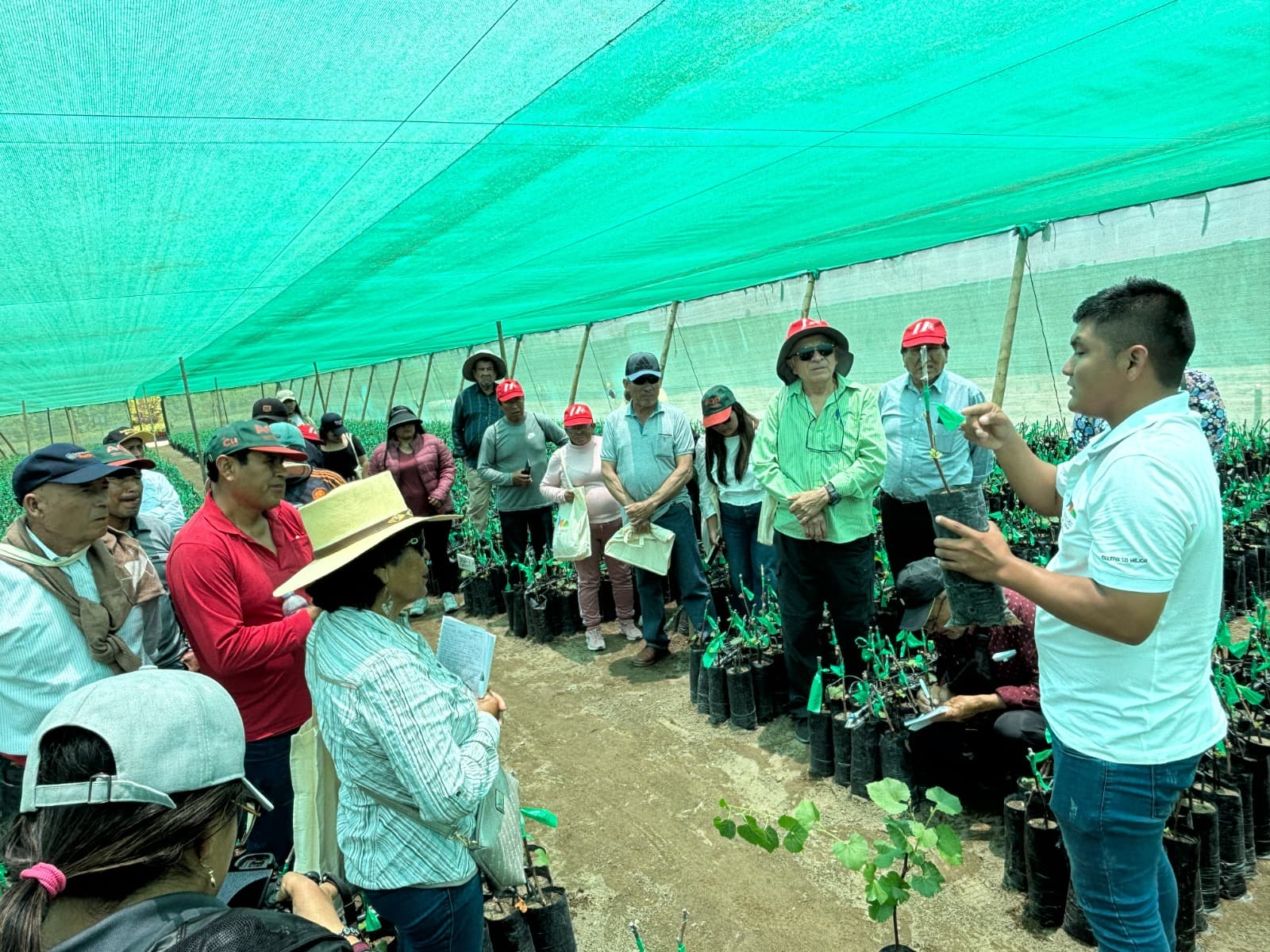 Comitiva del valle de Tambo fue instruida por agroexportadoras