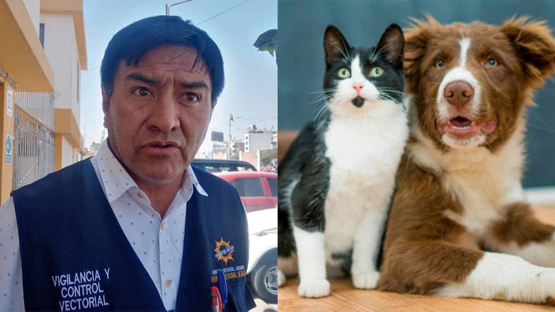 Geresa critica ley sobre esterilización de perros y gatos
