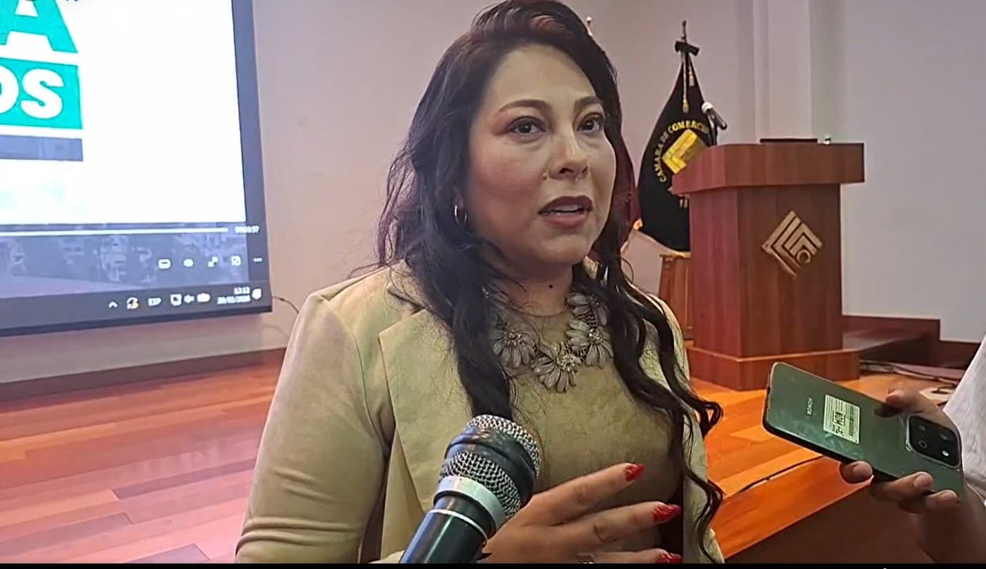 Nitza Huaco niega irregularidades en gestión de Cerro Juli
