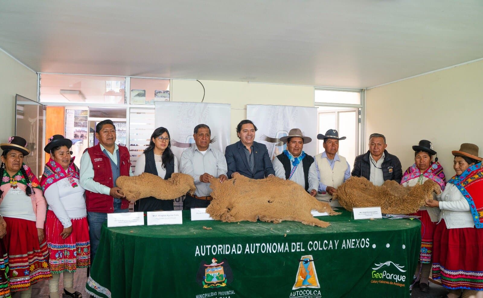 Aumenta cantidad de vicuñas en pueblos de San Juan de Tarucani