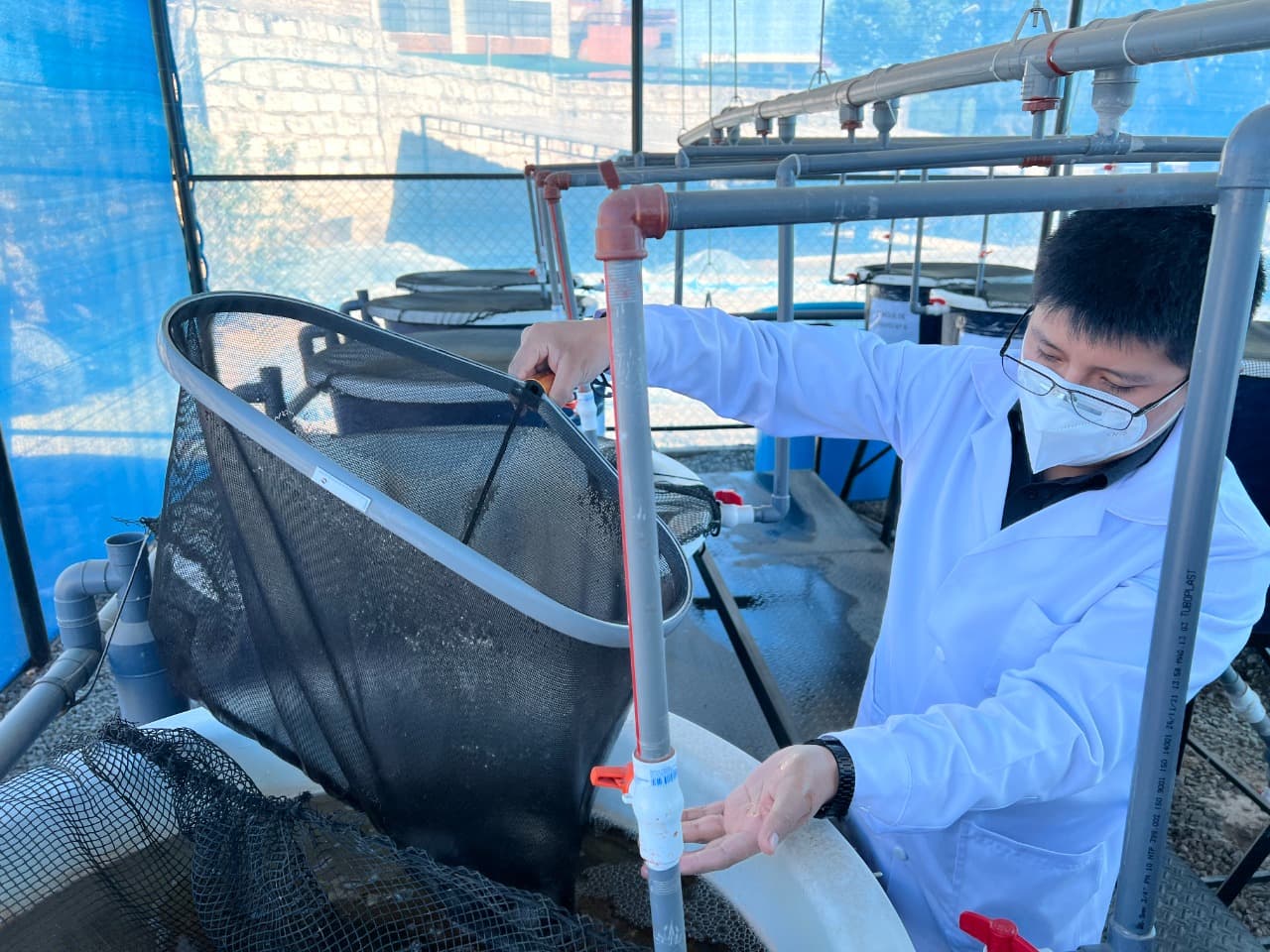 UCSM desarrolla alternativa para alimentación de peces