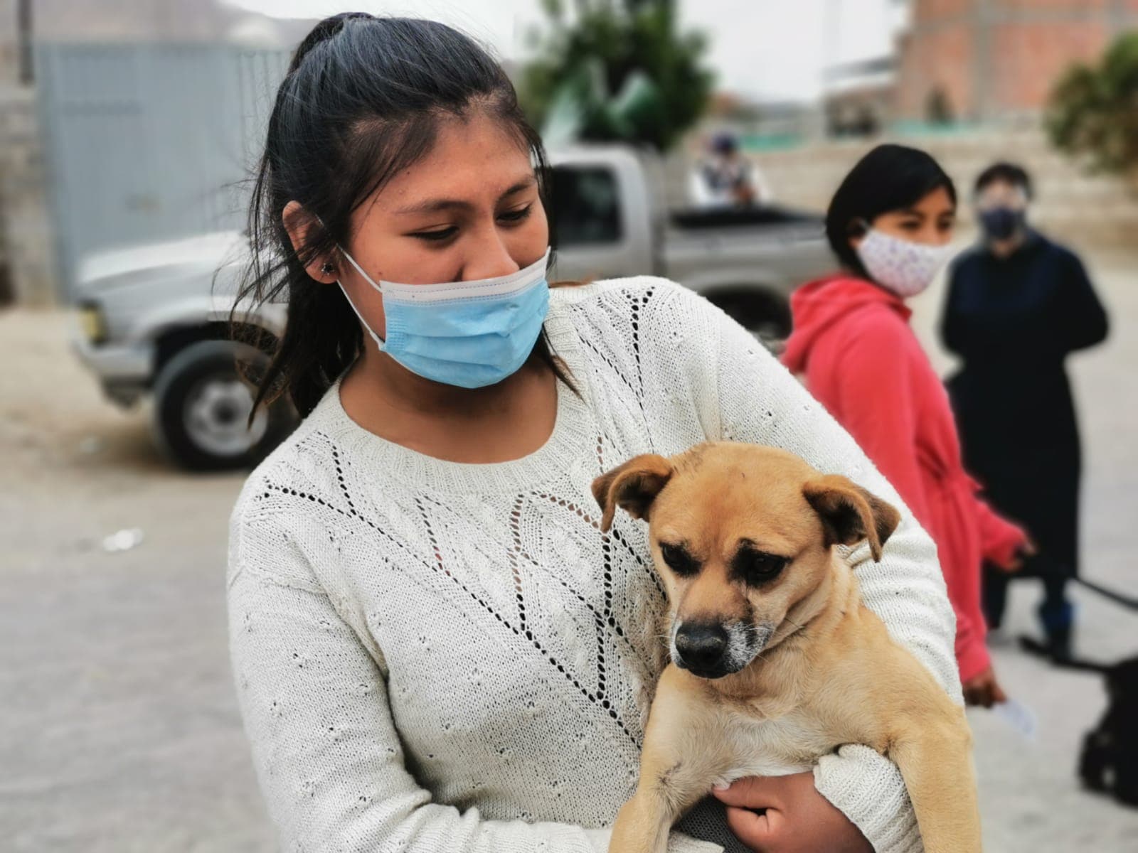 El otro contagio: 10 casos de rabia en Arequipa