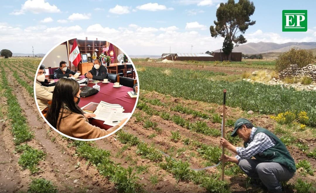 Aseguran S/ 3,5 millones para proyectos agrícolas en Arequipa