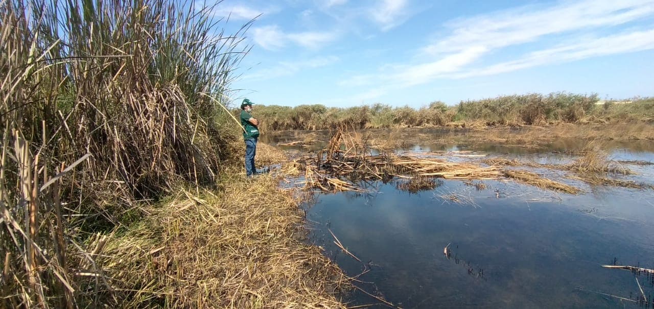 Camaná: lagunas de Pucchún peligran por invasión ilegal