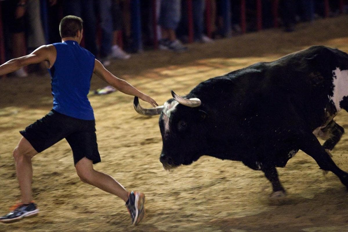 Hombre muere tras ser corneado por un toro en España
