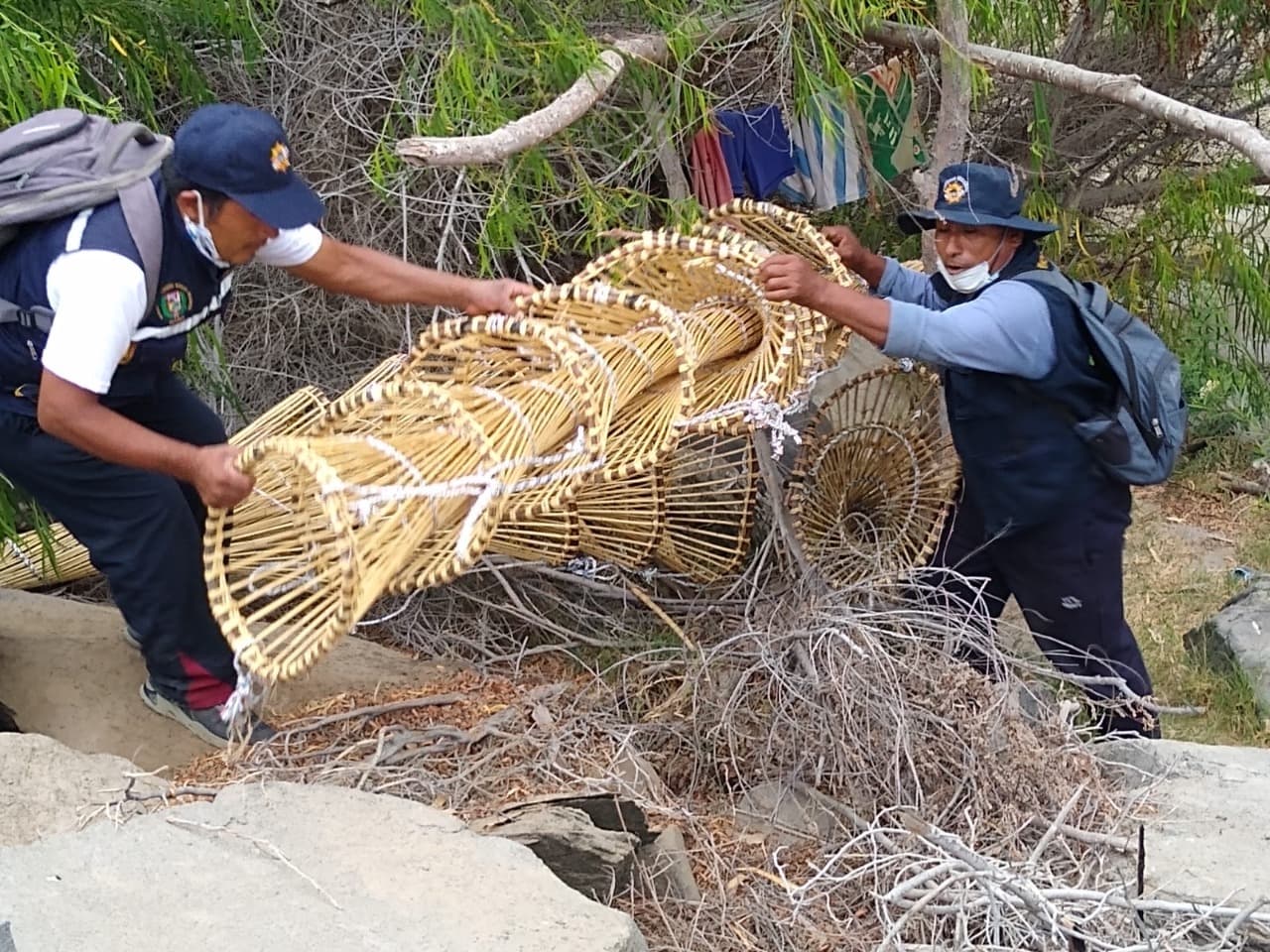 Contra la pesca ilegal de Camarón