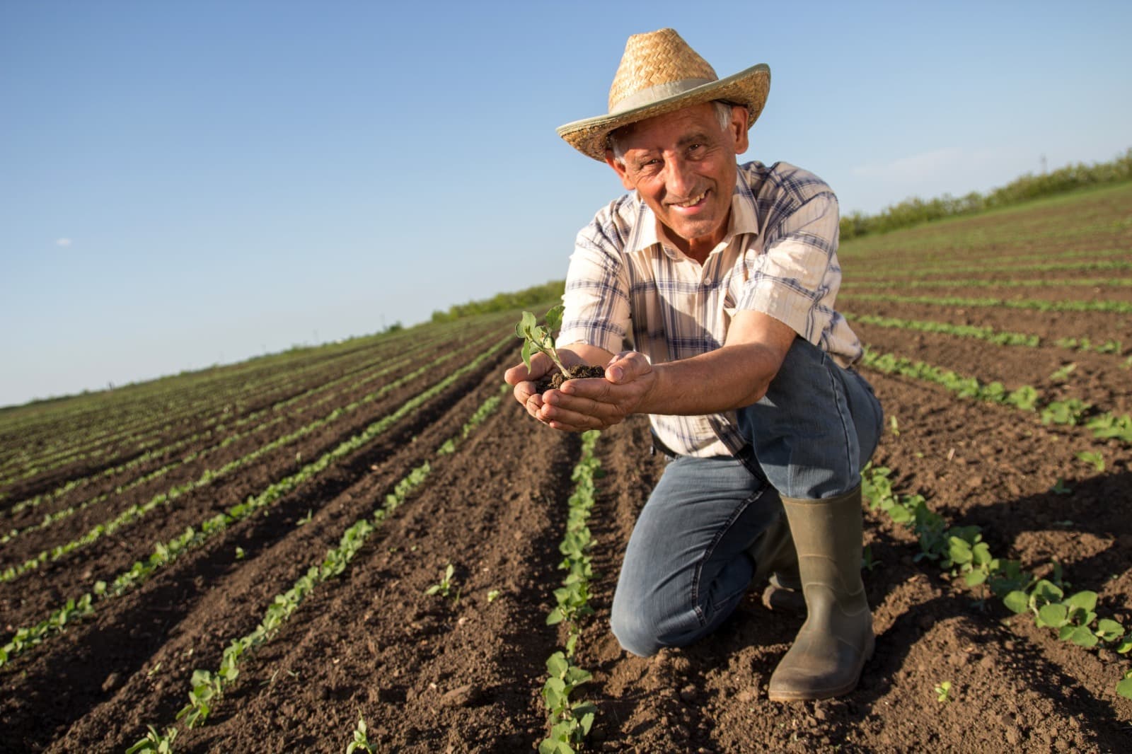 Gobierno activa Seguro Agrícola Catastrófico ante temporada de lluvias