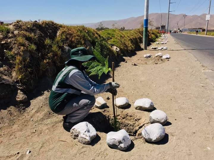 Multarán con 840 soles a quienes arrojen desechos en la vía pública