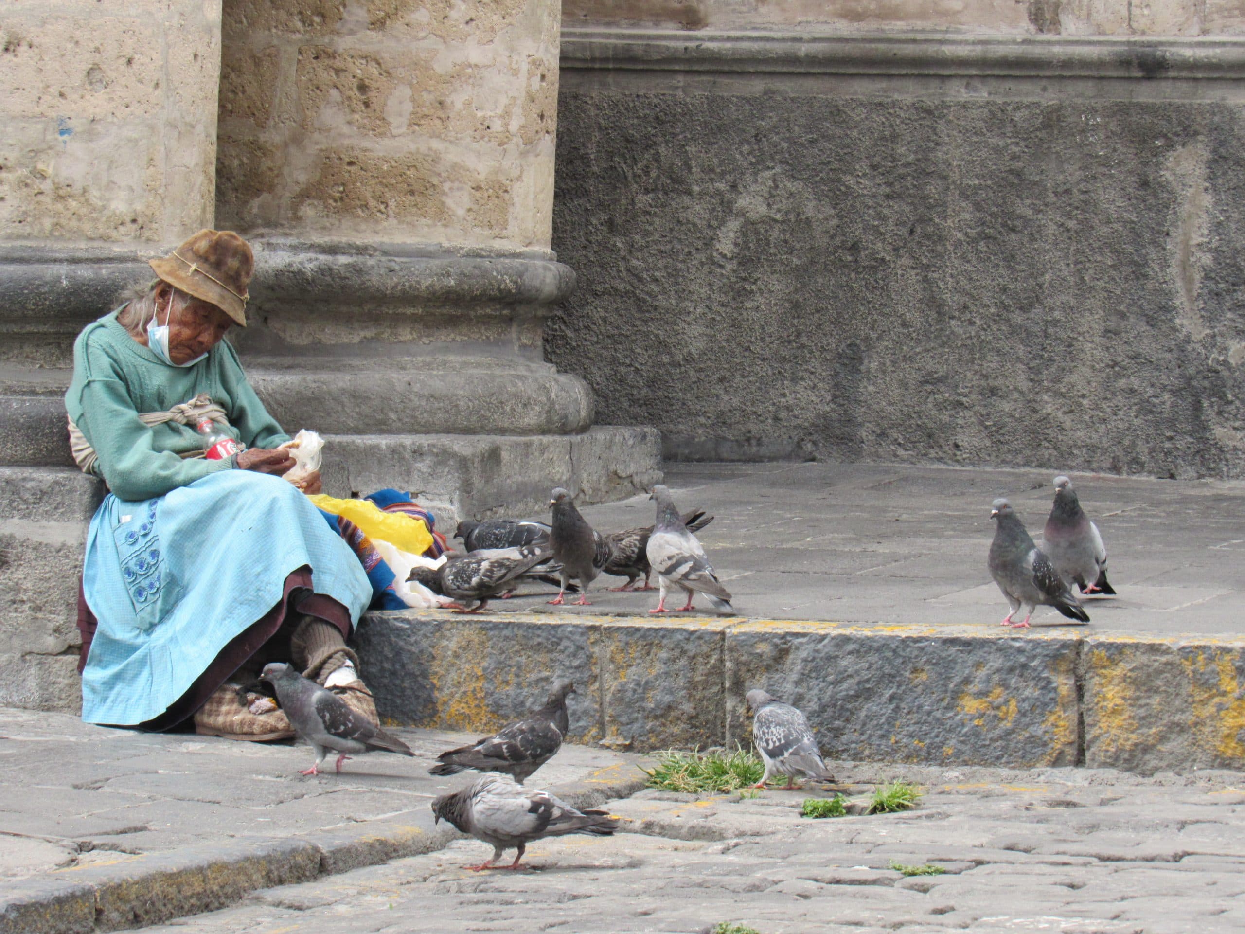 Arequipa: 212 000 adultos mayores esperan la vacuna