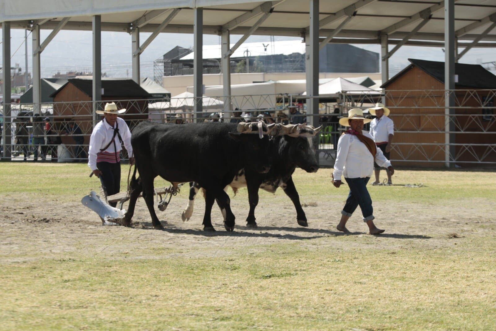 Feria agropecuaria recibió a alrededor de 50 mil asistentes