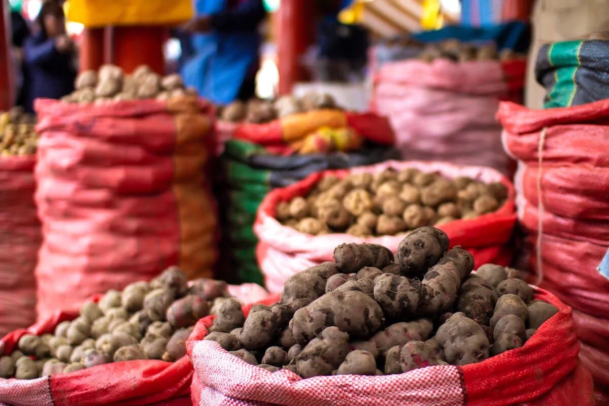 Comerciantes de papa ven reducidas sus ventas