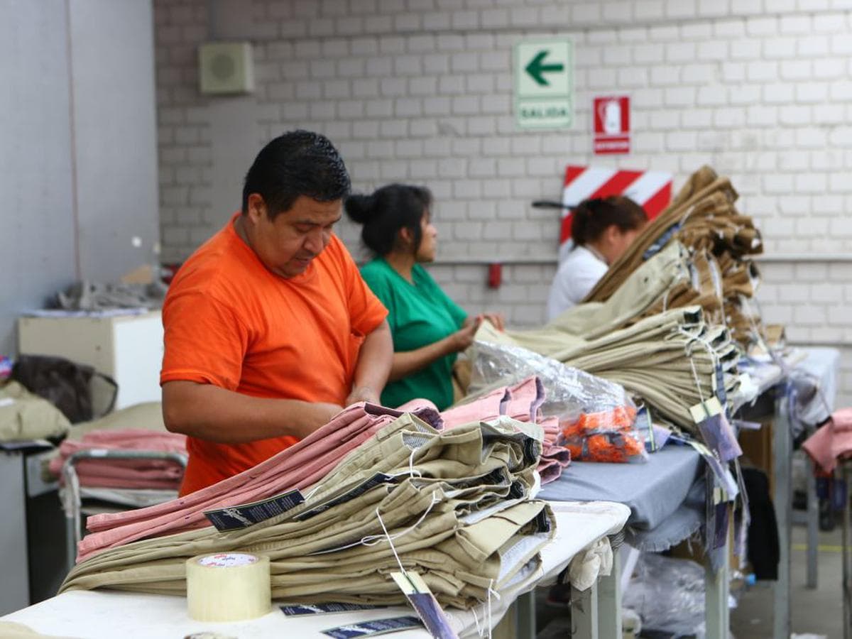 Empresas formales aumentaron a más de 2.3 millones en 2024