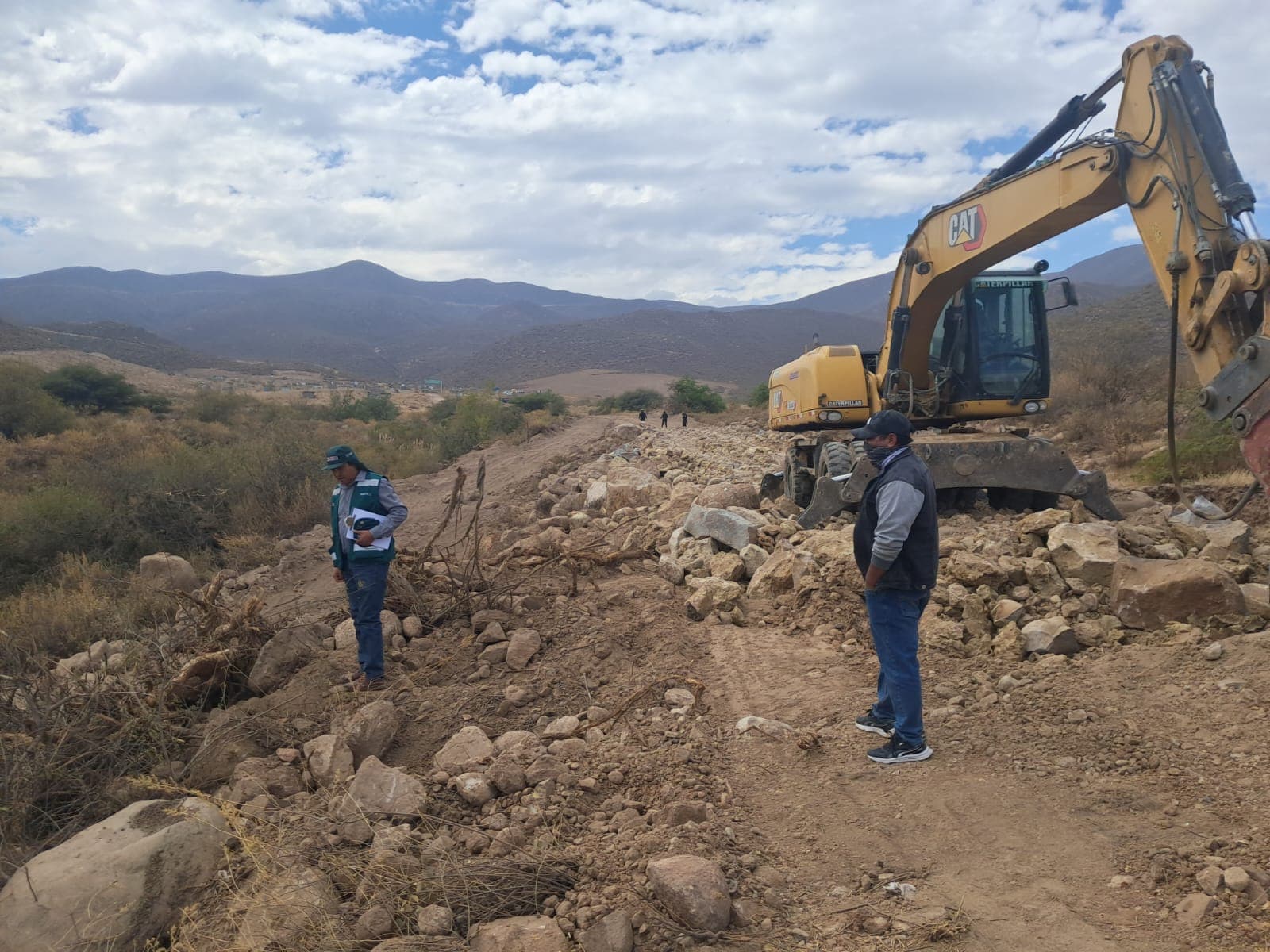 Arrancan cerca de 100 árboles nativos para abrir carretera