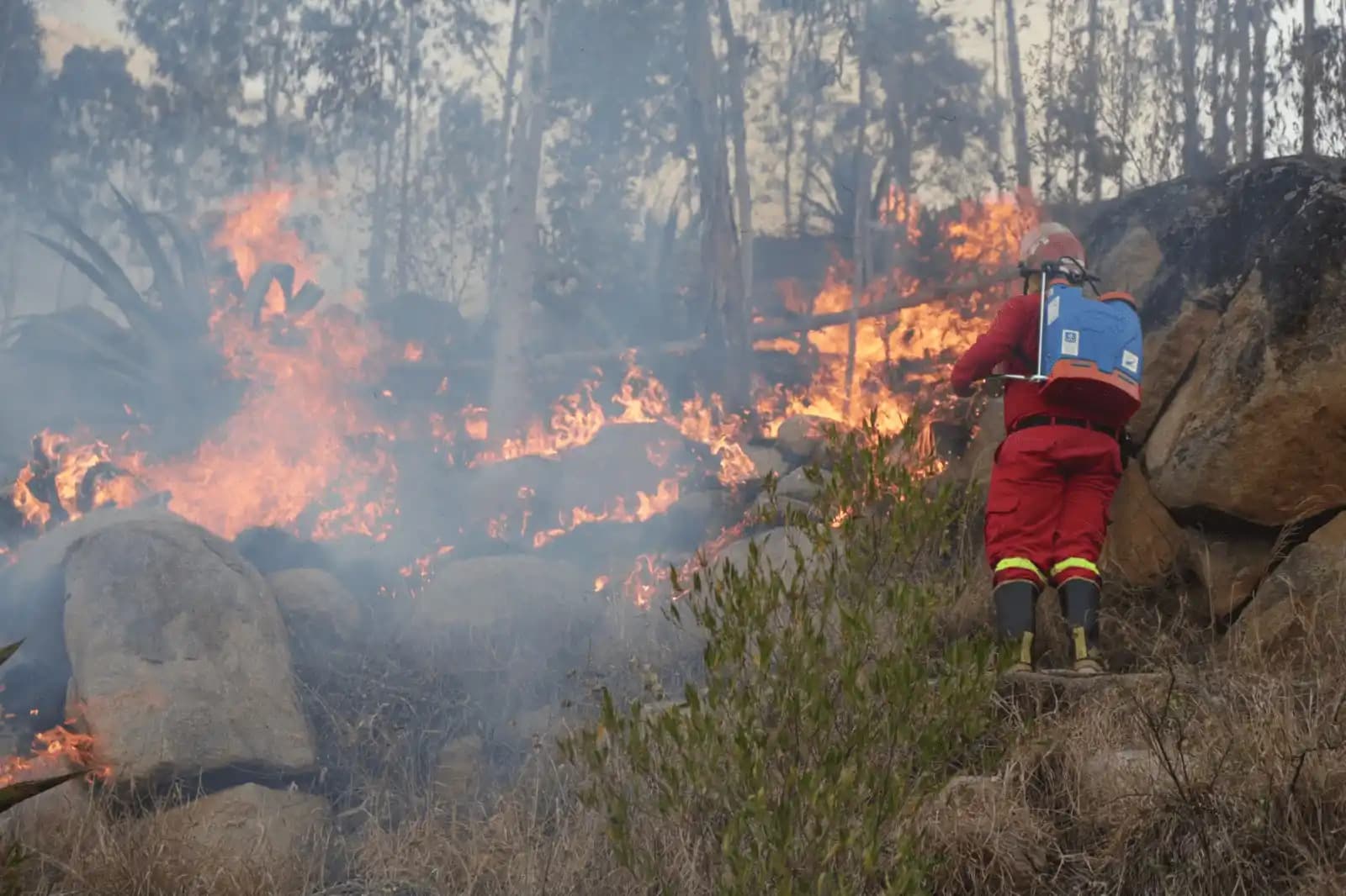 Controlan incendios forestales en Huánuco, Pasco y Apurímac