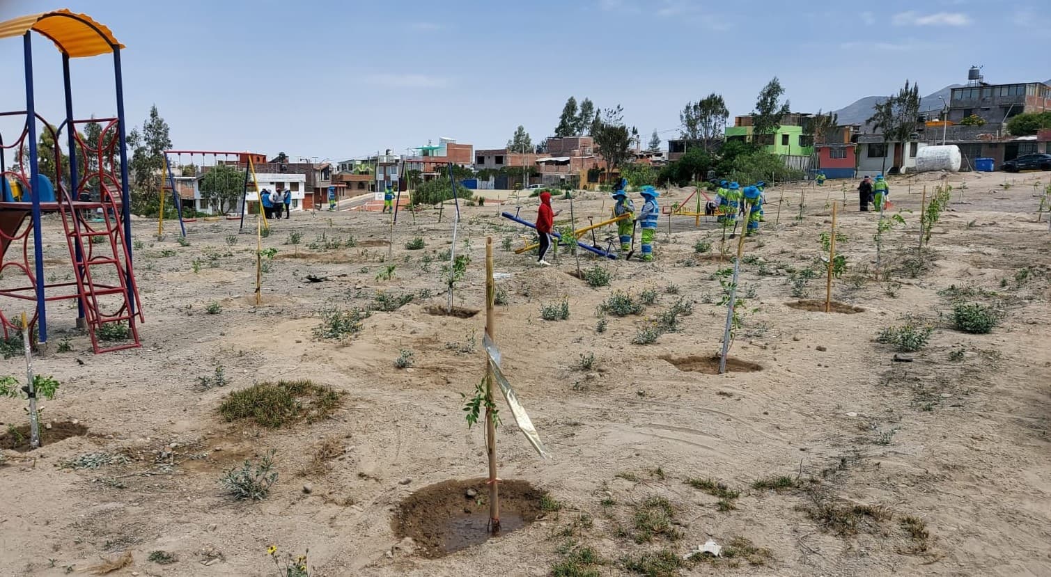 Aire limpio: Siembra 500 árboles en Cayma