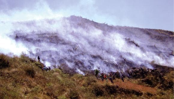 Arequipa: Pobladores de Cabanaconde se alarmaron tras incendio forestal