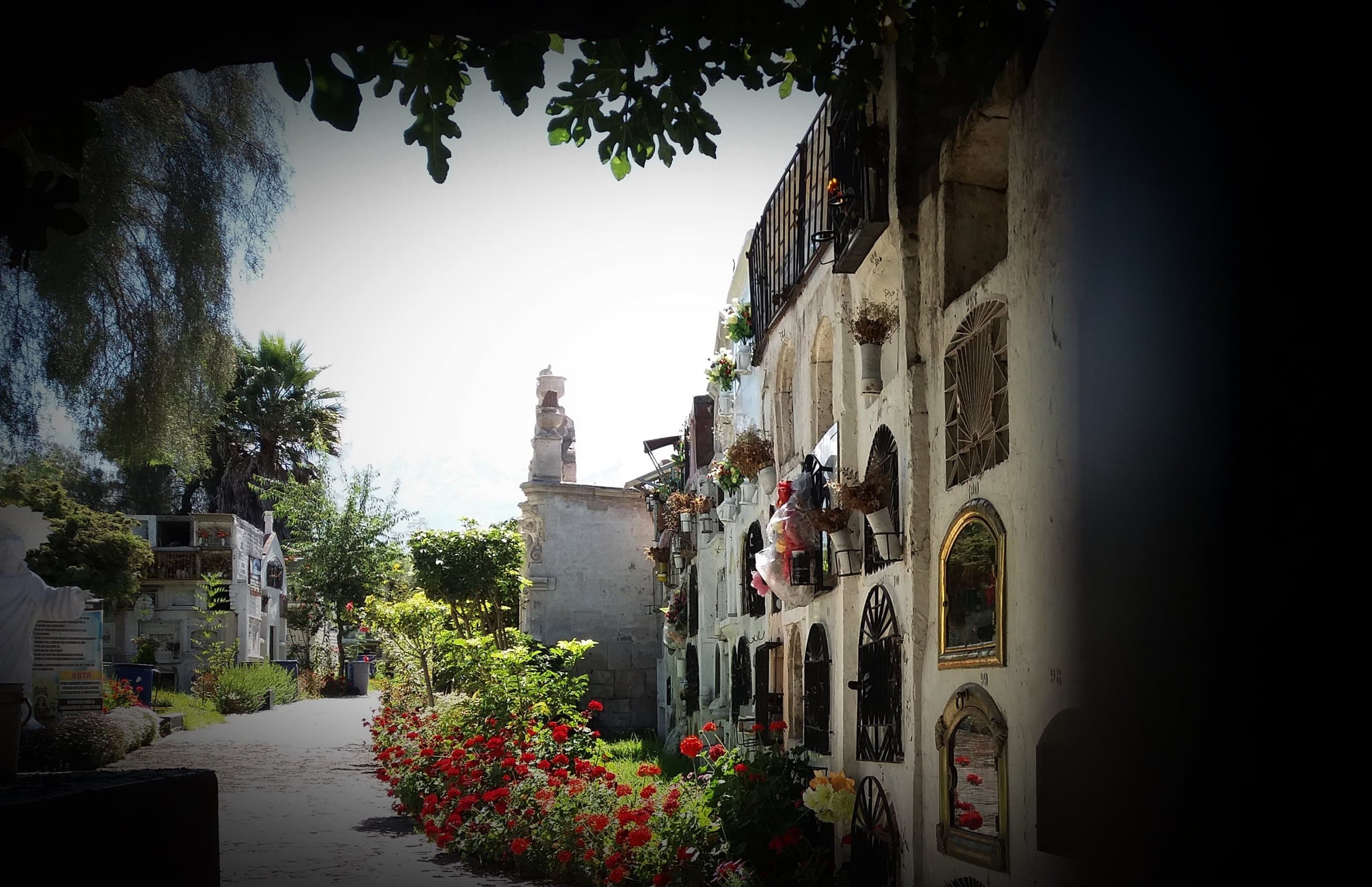 Cerrarán calles del Centro Histórico y cementerios para evitar concentración de personas