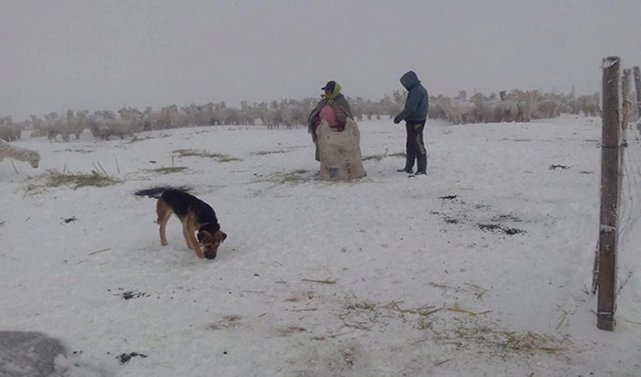 Senamhi alerta descenso de temperatura nocturna de -16 grados