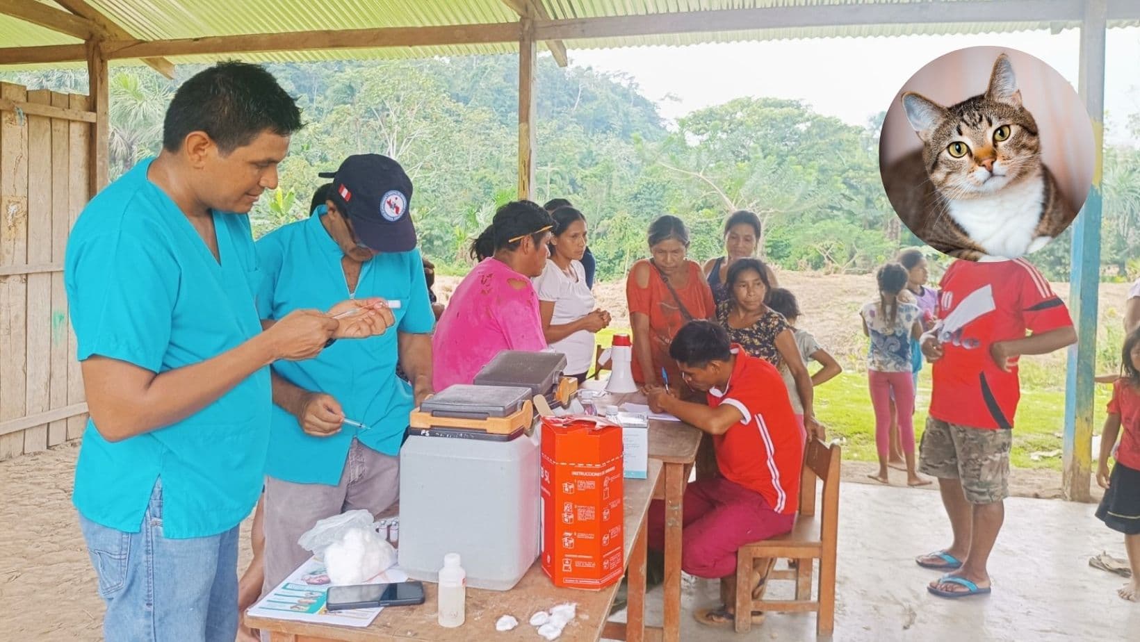 Amazonas: Menores fallecieron por rabia tras ser mordidas por gato