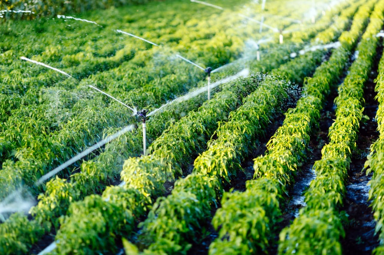 Perú: Ejemplo de gestión responsable del agua