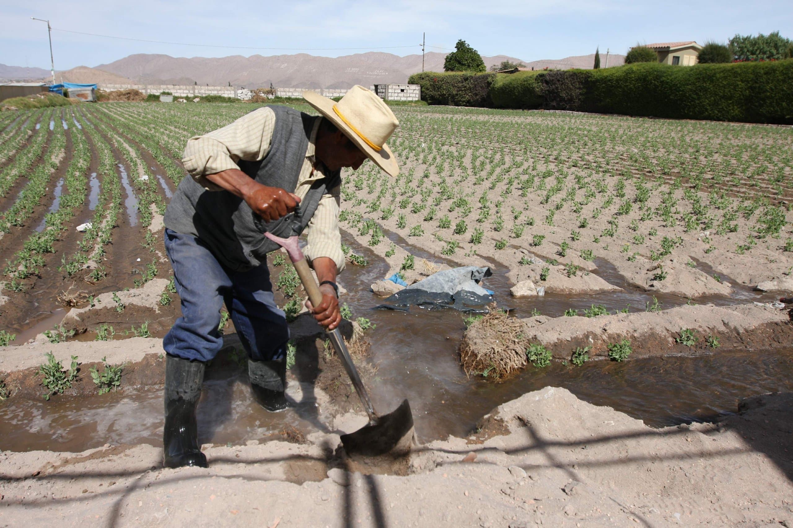 Solo el 2 % de los agricultores en Arequipa accedieron a créditos