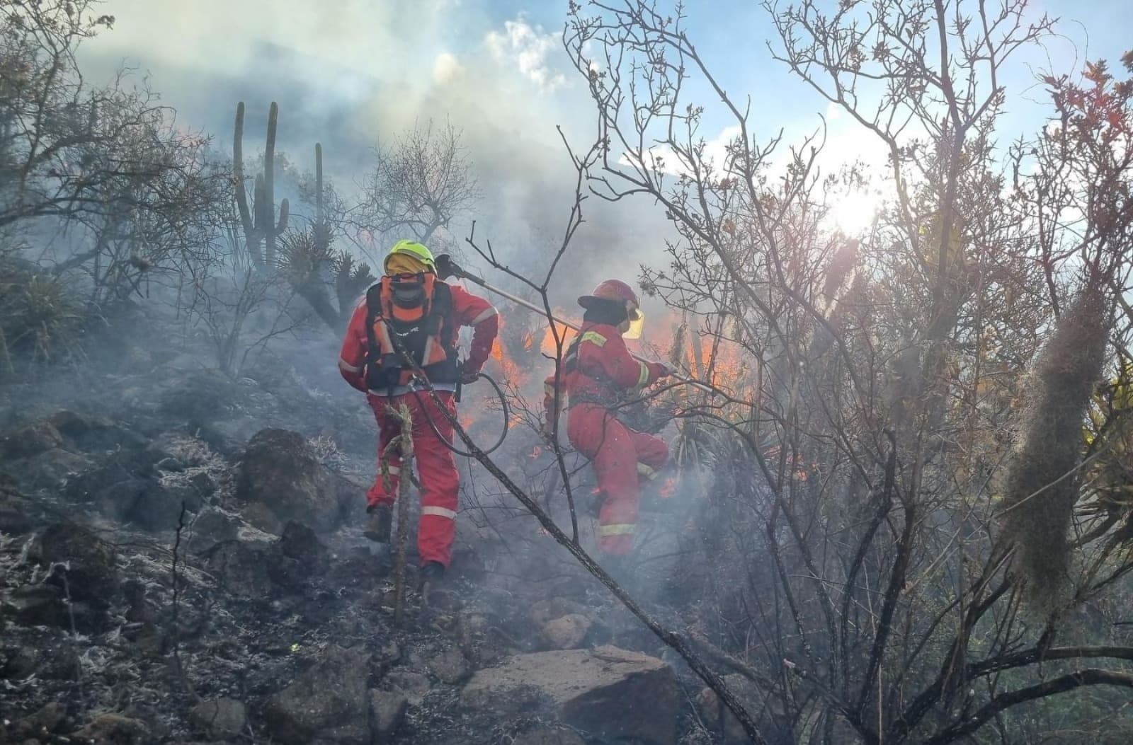 Un incendio forestal provocó la muerte de 26 caprinos en Cusco