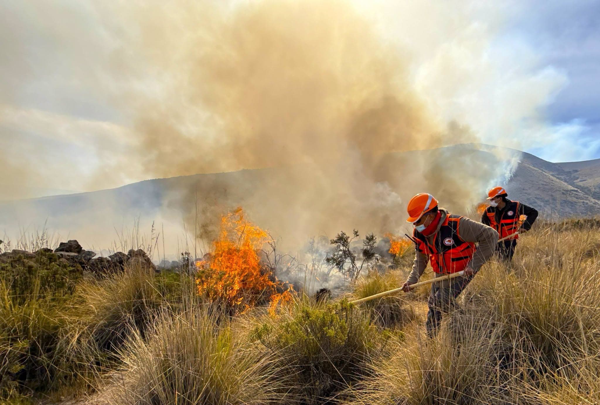 Coordinan acciones para controlar incendio forestal en Yura