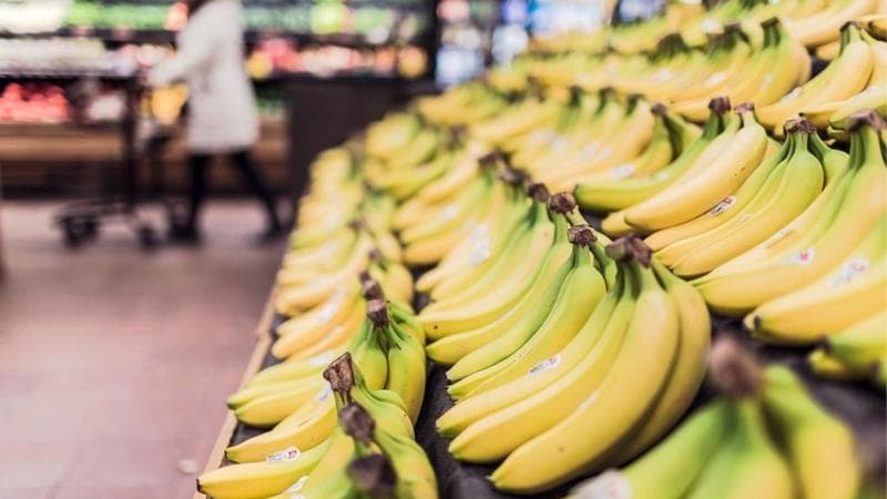 Incautan casi una tonelada de cocaína escondida en cajas de plátanos
