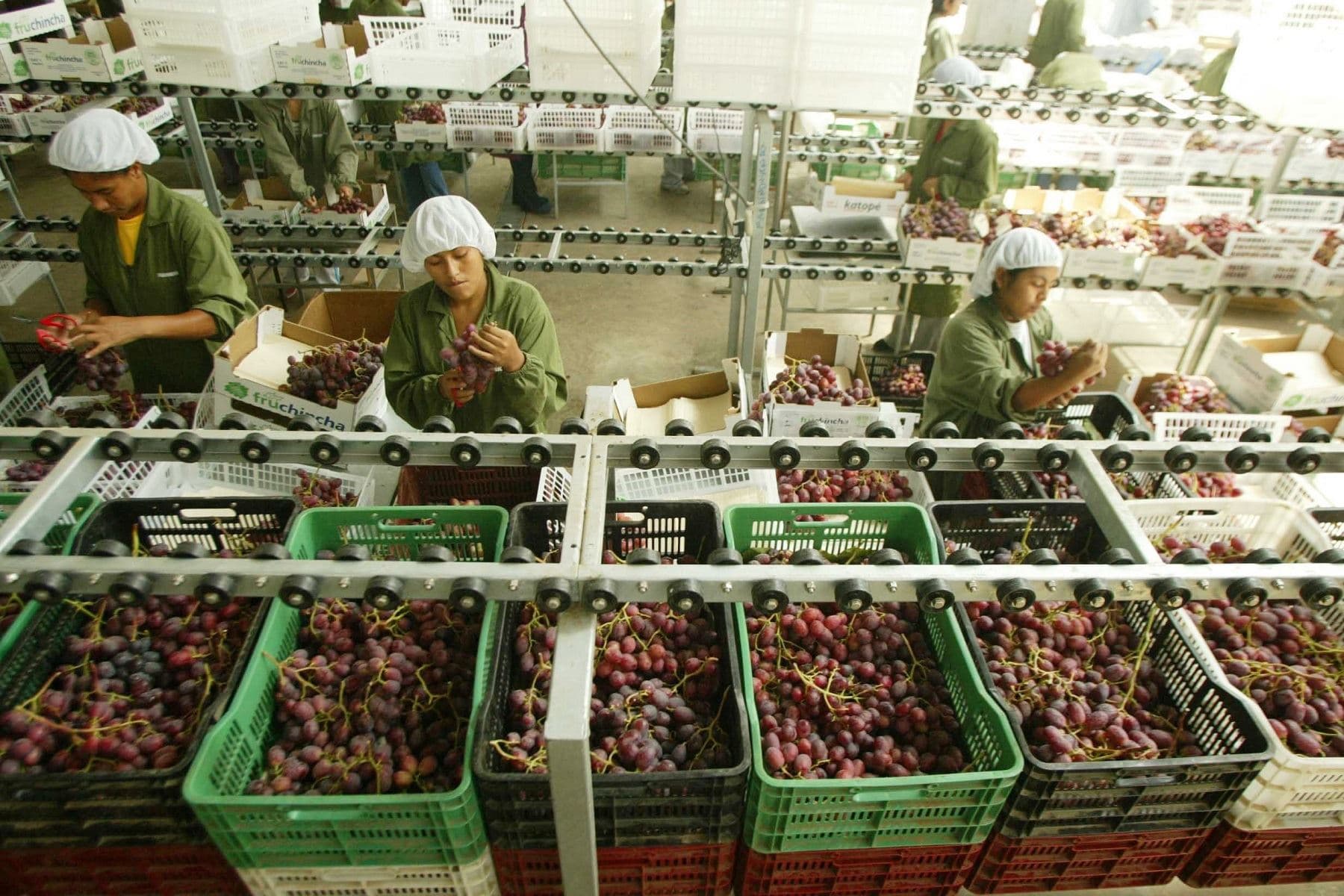 Aumentan en 1.8 % los empleos directos ligados a exportaciones