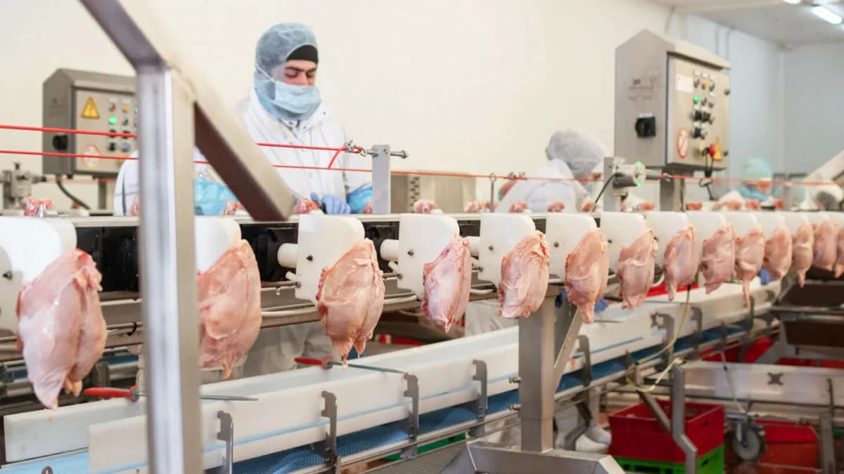 Perú logra exportar carne de ave tras obtener certificación