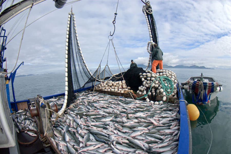 Exportaciones pesqueras superaron los US$2 100 millones