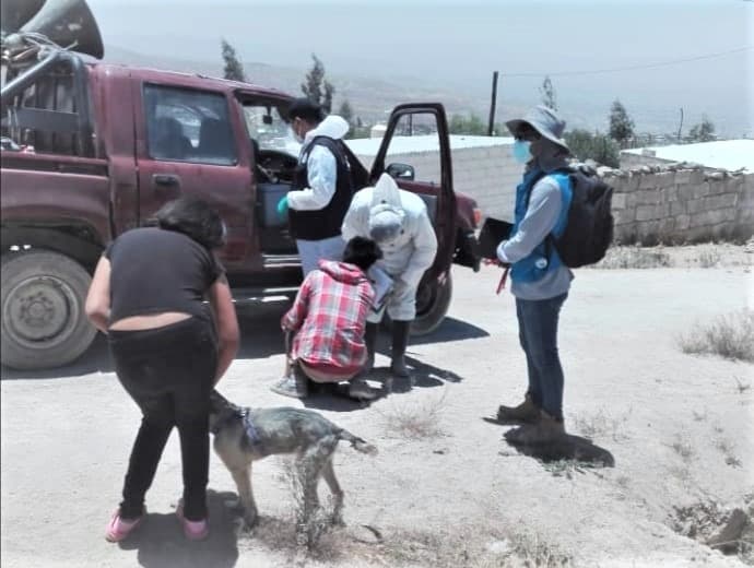 En menos de una semana detectan otro caso de rabia