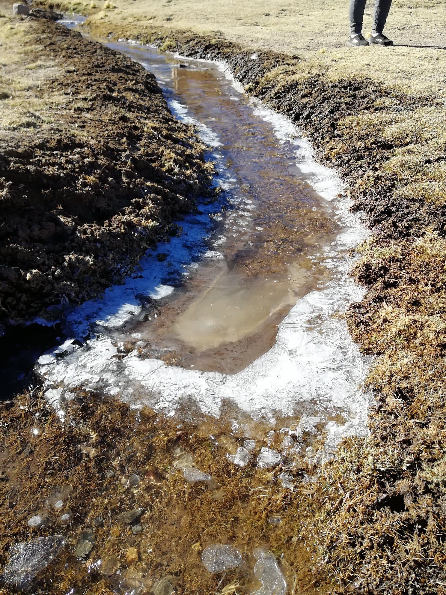 Senamhi alerta descenso de temperatura en 5 provincias