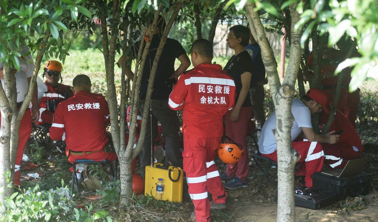China: tres leopardos escapan de zoológico y autoridades lo ocultan