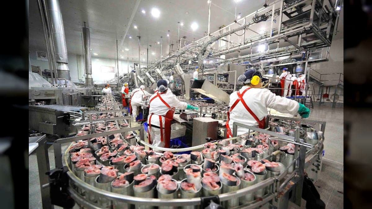 Producción industrial chilena cae 5,1 % en julio de 2026