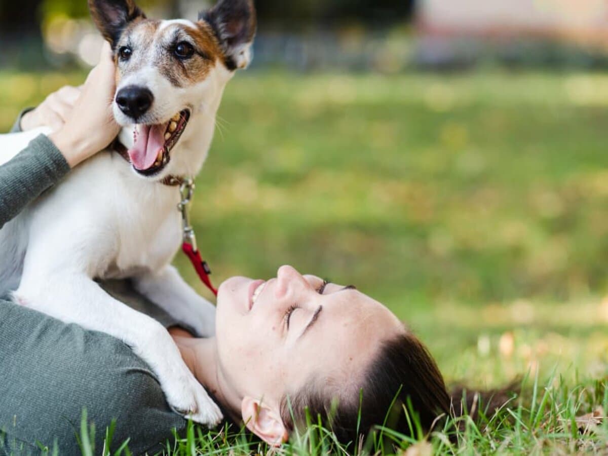 Interacción con perros calma el estrés y ansiedad