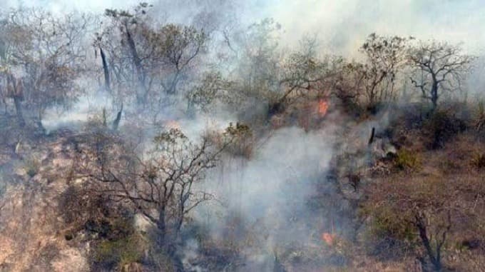 Piden emergencia Amazonas, Lambayeque, Áncash y Huánuco por incendios